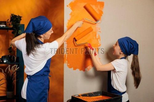 Interior Decorative Wall Paint