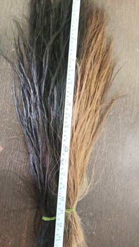 Horse Hair