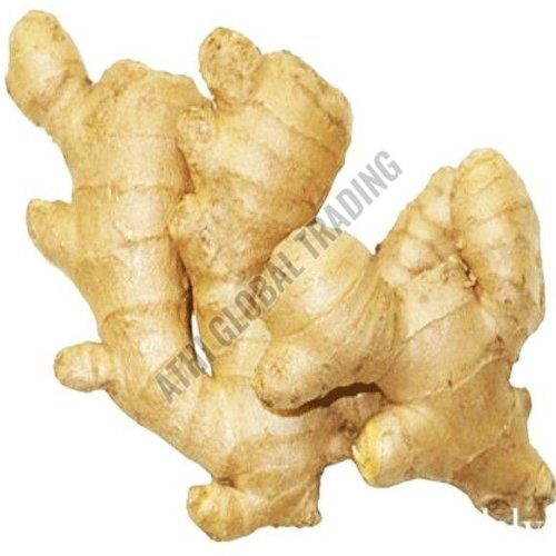 Fresh Ginger
