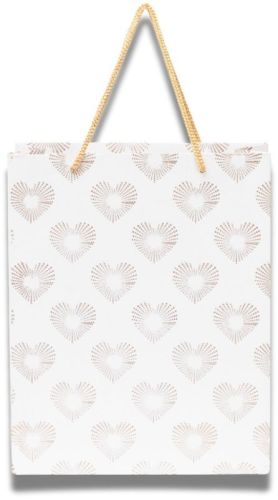 Designer Paper Gift Bag