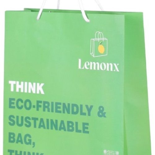 Lemonx Eco-friendly Paper Shopping Bag