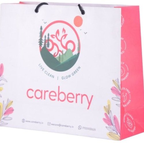 Rope Tie Printed Paper Carry Bag