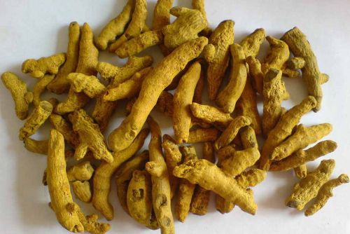 Polished Turmeric Finger
