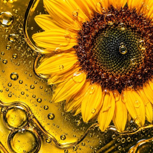 Sunflower Acid Oil