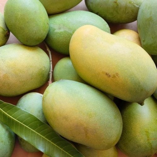 Natural Amrapali Mango