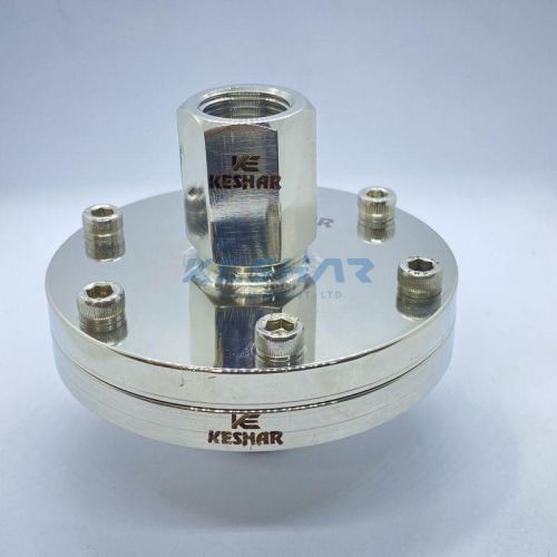 Flange Type Diaphragm Seals