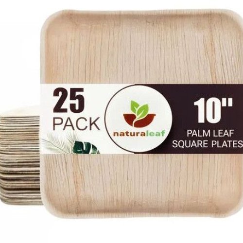 10 Inch Square Areca Leaf Plates