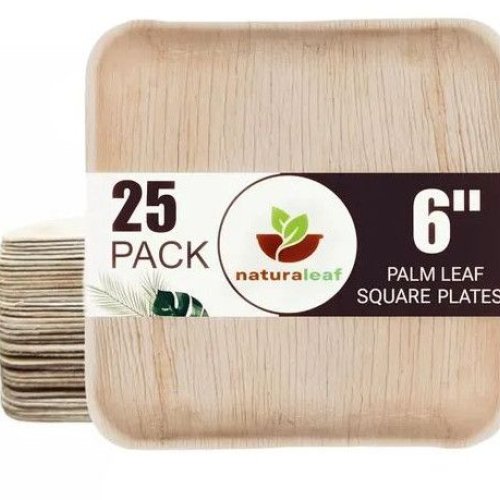 6 Inch Square Areca Leaf Plates