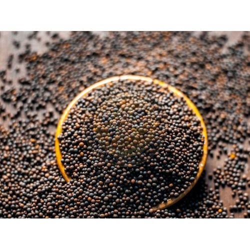 Black Mustard Seeds