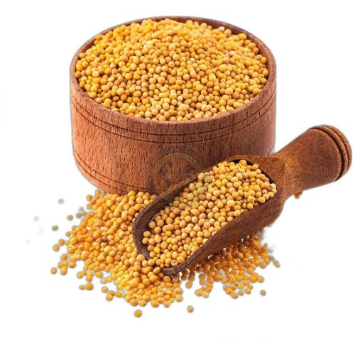 Yellow Mustard Seeds