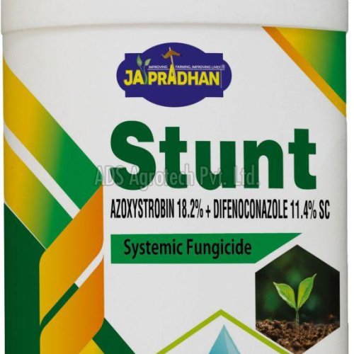 Stunt