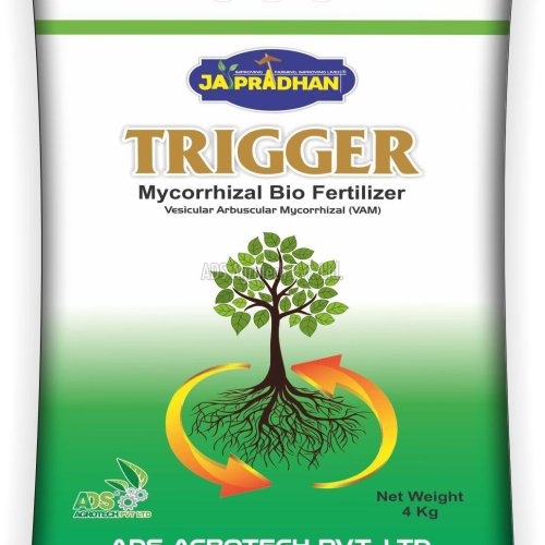 Trigger