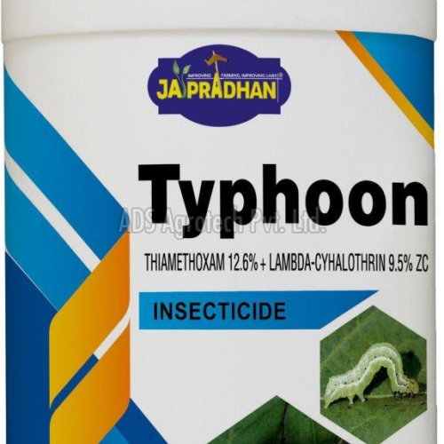 Typhoon