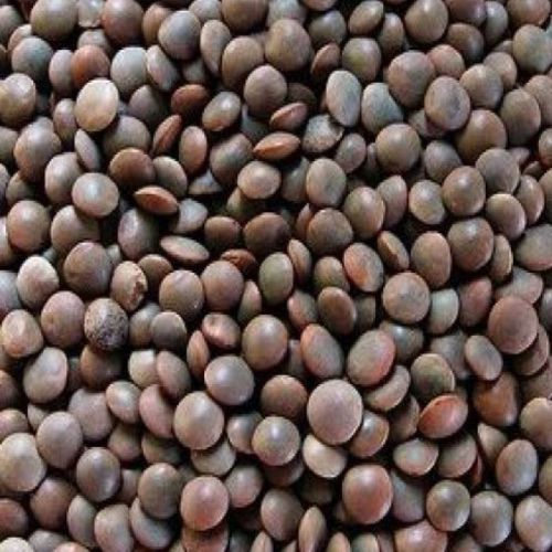 Black Masoor Dal