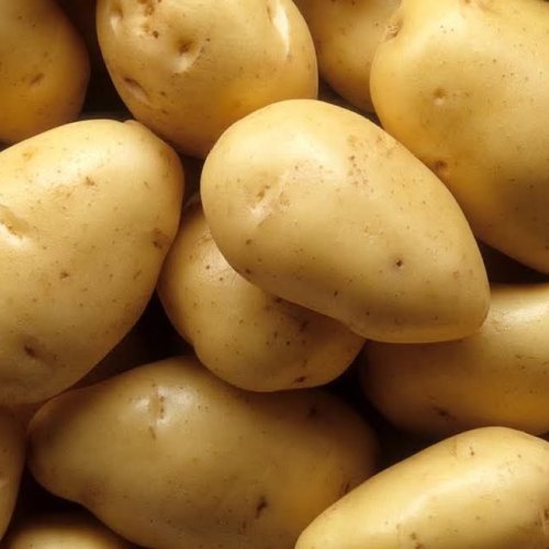 Indian Fresh Potato
