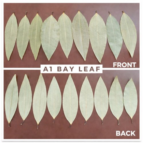 A1 Dried Bay Leaves