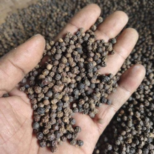 Black Pepper Seeds