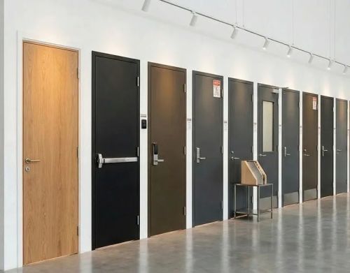 Commercial Flush Door