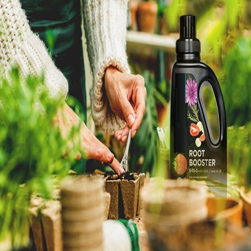 Root Booster