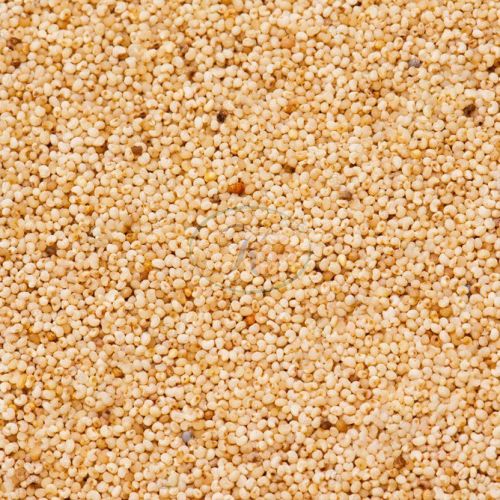 Poppy Seeds