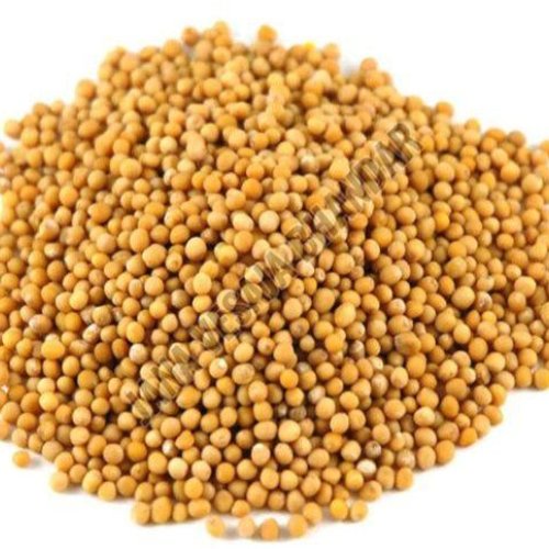 Yellow Mustard Seeds
