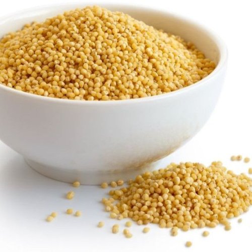 Foxtail Millet Seeds