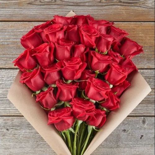 Fresh Rose Flowers