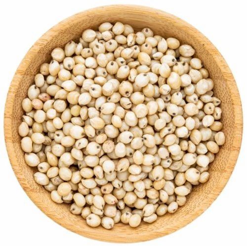 Jowar Millet Grains