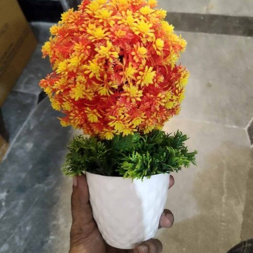Decorative Mini Flower Pot Set