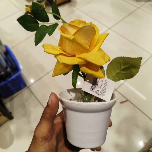 Mini Faux Plant Pot Set