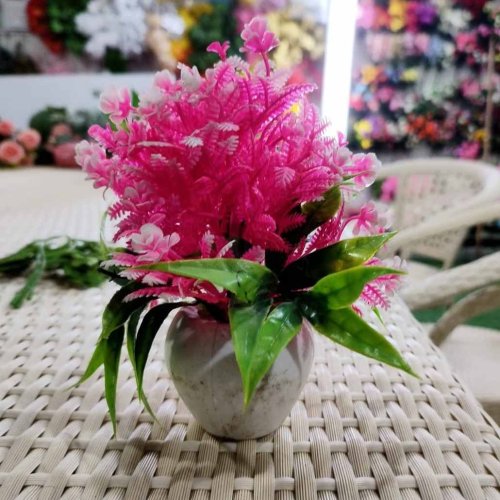 Small Decorative Plant Pot