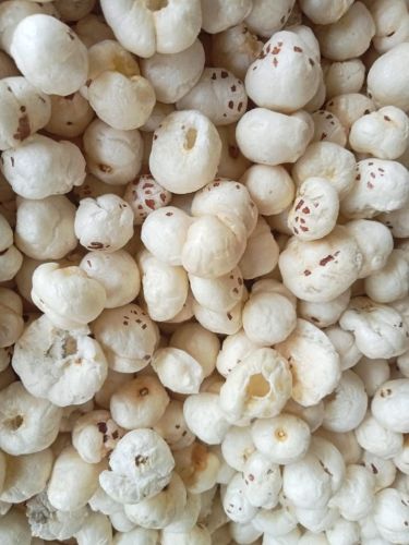 5 Suta Makhana