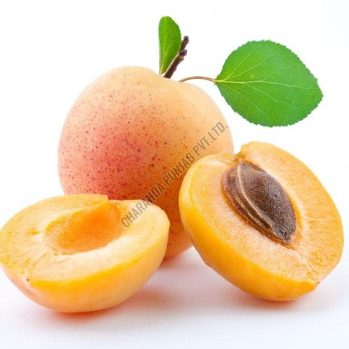 Fresh Apricot