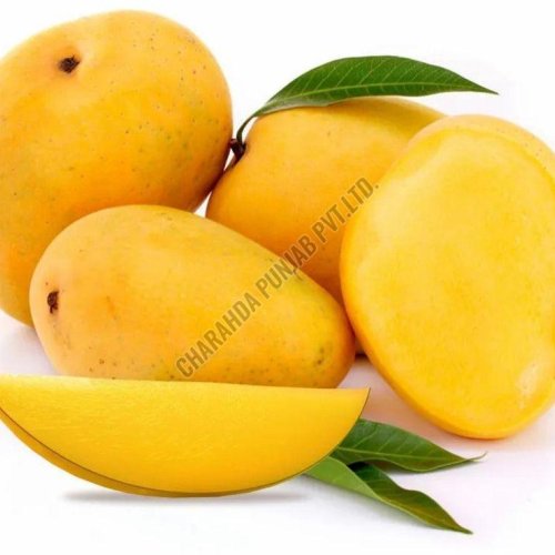 Fresh Sweet Mango