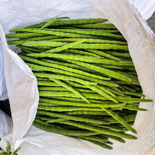 Fresh Export Quality Drumsticks