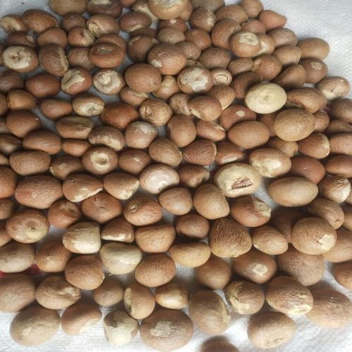 Betel Nut