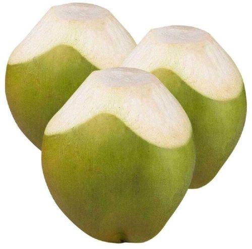 Green Tender Coconut