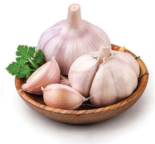 Fresh Garlic