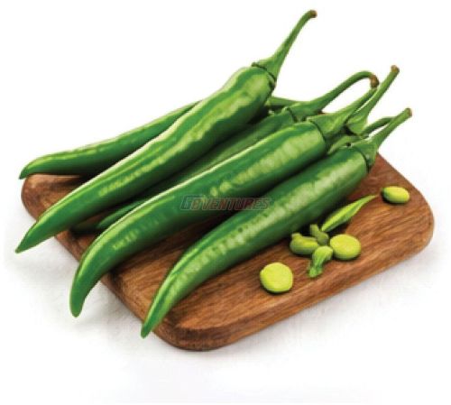 Fresh Green Chilli
