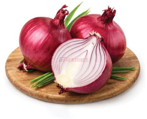 Fresh Fruits and Vegetables