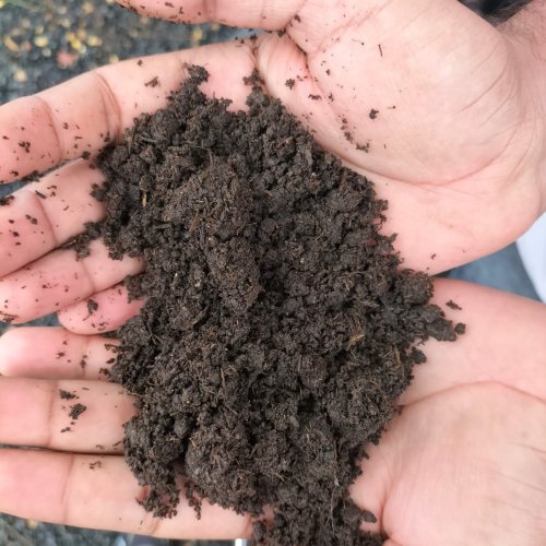 Vermicompost Fertilizer Powder