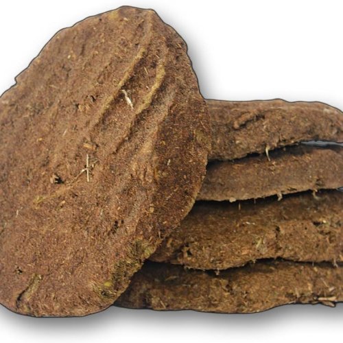 Cow Dung Cake