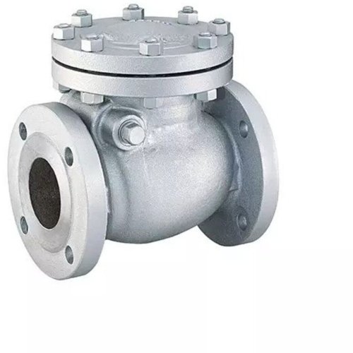 Industrial Swing Check Valve