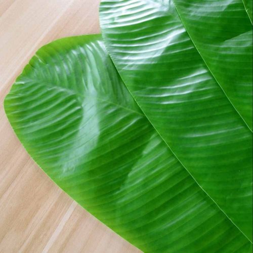 Organic Banana Leaf