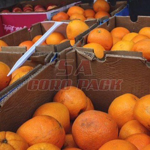 Corrugated Fruit Packing Box