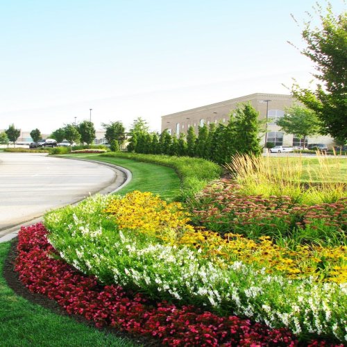 Landscaping Turnkey Project Services