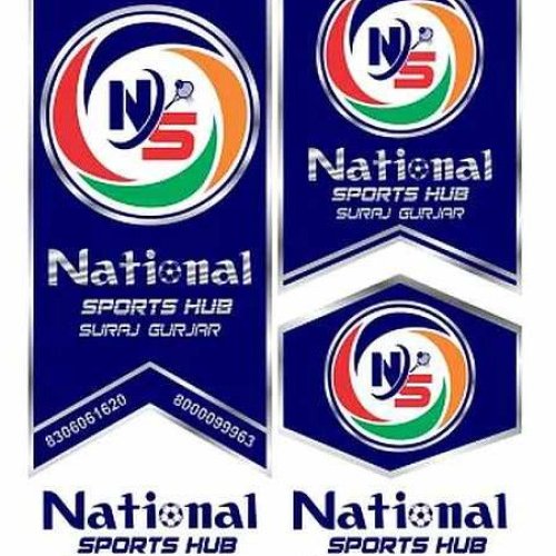 Cricket Bat Edge Sticker