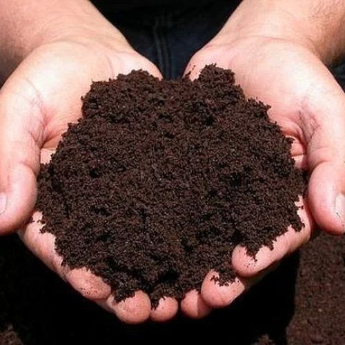 Organic Fertilizers
