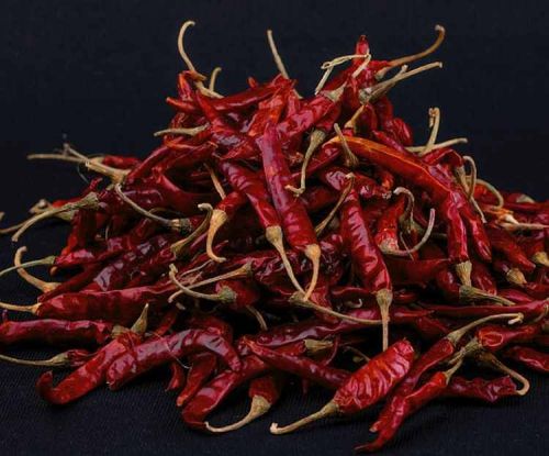 Dry Teja Red Chilli