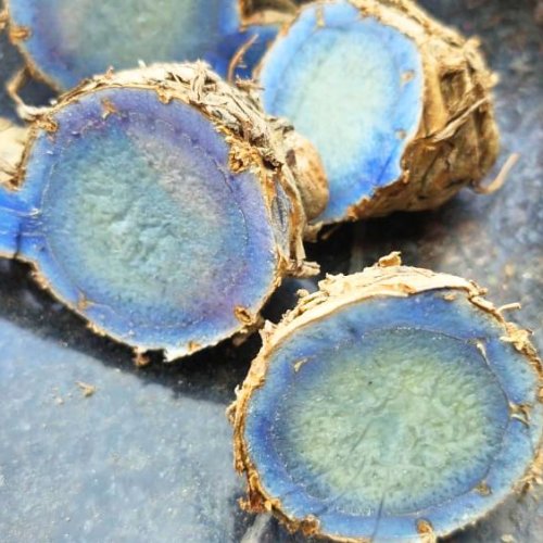 Fresh Black Turmeric Root, Size- 100g To 200g